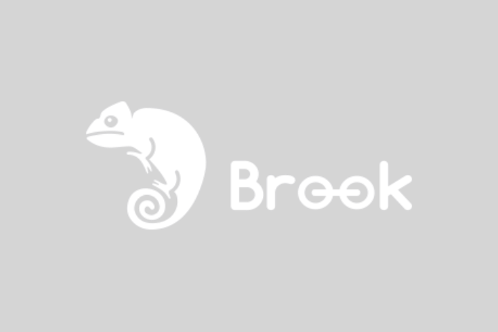 Artwork Generator supports Brook.