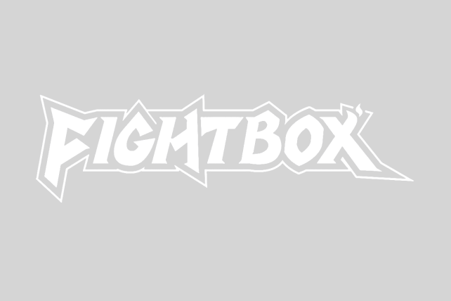 Artwork Generator supports FIGHTBOX.