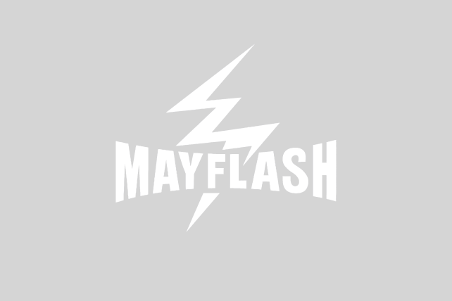 Artwork Generator supports MayFlash.